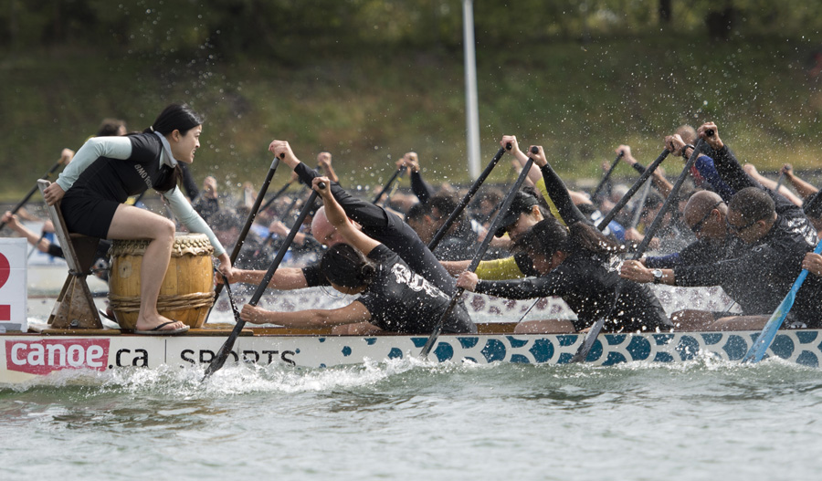 Course de bateau-dragon au bassin olympique